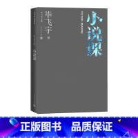 [正版]小说课毕飞宇著文学欣赏毕飞宇文集人民文学出版社