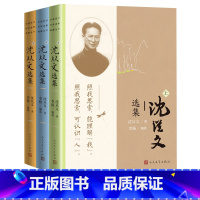 [正版]沈从文选集上中下中国现代作家选集典藏丛书沈从文著李扬编选边城湘行散记湘西从文自传人民文学