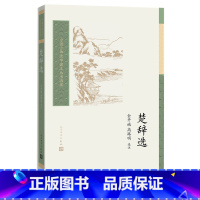 [正版]楚辞选金开诚高路明选注中国古典文学读本丛书典藏第三辑楚辞屈原离骚宋玉九辩金开诚