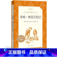 [正版]汤姆索亚历险记马克吐温著张友松译 《语文》阅读丛书 初中部分中小学人民文学出版社