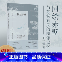 [正版]同绘赤壁 与苏轼有关的图像记忆 王一楠著从艺术史文学史思想史融合的角度梳理赤壁图像发展脉络 朱良志朱刚黄小峰