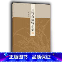 [正版]兰花白描写生集 51幅写生作品 工笔画白描花卉底稿原大呈现/零基础初学者白描技法从入门到精通教程/白描花草临摹