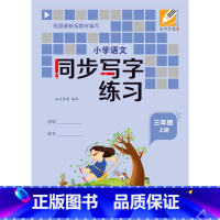 语文 [正版]小学语文同步写字练习(三年级上下册)全套两册 吴师字通硬笔书法练习册生字本拼音笔画生字结构田字格学习铅笔字