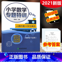 [正版]2021 小学数学专题特训 小数的意义及加减法 四年级下册适用 小学数学4年级下册思维专项训练课堂同步数学专题