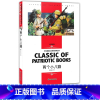 两个小八路 [正版]两个小八路 红色经典 学生爱国主义教育系列丛书 小学生三四五六年级读物功勋儿童文学读本