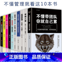 [正版]全10册管理方面的书籍 不懂带团队你就自己累领导力管理三要企业管理 经营管理学 领导者管理者的成功法则 书