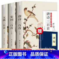 [正版]全3册唐诗宋词元曲三百首300首全集注释译文赏析小学生中学生(唐宋元)全译本无删减文白对照注解中国诗词大全古代