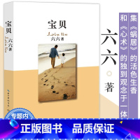 [正版] 六六的书:宝贝/本书集蜗居的活色生香和心术的观念独到于一体 新作有少年派书小说安家编剧六六的书蜗居双面胶