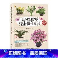 [正版]家庭养花活用轻图典140种花卉绿植图鉴 室内植物盆栽花卉养殖大全花卉绿植栽培入门手册书籍家庭养花从新手到高手