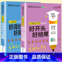 [全套2册]好词好句好段+好开头好结尾 小学通用 [正版]小学生好词好句好段大全三至六年级作文书素材积累大全语文同步作文