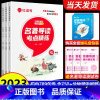 [全三册]名著考点精练·7-9年级 初中通用 [正版]2023新版名著导读考点精练初中七八九年级初中生必读名著初中名著与