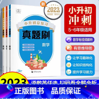 (6本)语文+数学+英语[真题刷+总复习] 小学升初中 [正版]2023版53小升初总复习真题刷全套语文数学英语人教 小