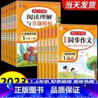 [全套3册]同步作文+同步练字帖+阶梯训练 二年级上 [正版]2023新版小学生同步作文一二三四五六年级上册下册人教版阶