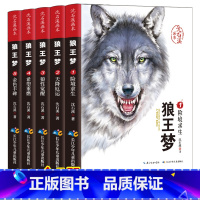 沈石溪画本*狼王梦[全5册] [正版]动物小说大王沈石溪 狼王梦画本全套5册 沈石溪珍藏版完整版漫画版小学生三四五六年级