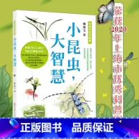 [正版]11-14岁小昆虫,大智慧 身边无数有趣的生物学现象 大人孩子都可以读的科普读物 认识自然 探索自然 华东师