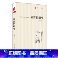 [正版]教育的细节 大夏书系教育新思考 周国平檀传宝李政涛刘铁芳名家图书 中小学教师教育工作文集 2015年度教师喜爱