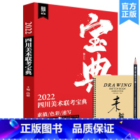 [正版]2022四川美术联考宝典 敲门砖段健 素描速写色彩川美考题解析艺考书籍