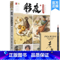 [正版]彩度色彩静物范本 2023品博文化教学笔记梁华洲陈皓林