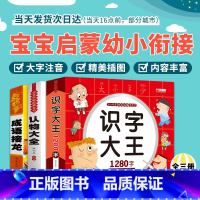 [3册]识字大王+认物大全+成语接龙 [正版]认物大全识字大王1280字成语接龙 宝宝启蒙认知学前识字认物书500图案幼