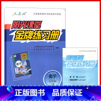 [正版]九年级化学 阳光课堂 金牌练习册化学9年级上册 初三上册化学阳光课堂 金牌练习册配人教版 阳光课堂 金牌练习册