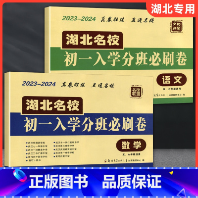 [正版]2023小升初真题卷数学语文全套2本 湖北名校小升初真题试卷五六年级毕业生考试初一入学分班必刷卷武汉小学毕业必