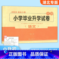 [正版]2023版 小升初语文真题卷 湖北小考小学毕业升学试卷武汉小升初必刷卷六6年级升学必刷押题卷专题强化训练武汉名