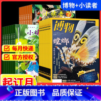 博物+小读者[跨年组合订阅更实惠23年11月-24年10年] [正版]博物+小读者2024全年订阅杂志期刊组合跨年订阅2