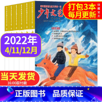 e[共3本]2022年4/11/12月 [正版]少年文艺杂志2023年6-9月/2023年全年半年订阅 小学生三四五六年