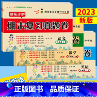 [人教版]学霸笔记+期末复习真题卷 三年级下 [正版]北师版/人教版2023 语文数学人教版期末复习测评卷试卷测试卷全套