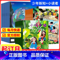 少年新知+小读者[跨年组合订阅更实惠23年11月-24年10年] [正版]少年新知+小读者2024全年订阅杂志期刊组合跨