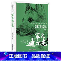 军犬迪尔克 [正版]沈石溪动物小说全集 珍藏版系列全套7本猎豹之歌囚犯鹿王小学生三四五六年级上下册课外书阅读儿童文学漫画