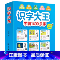 识字大王1400字 [正版]识字大王学前1400余字 彩图注音版 幼儿看图识字认字书幼儿园学前班早教书籍幼小衔接幼升小一