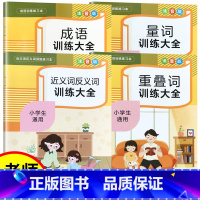 全4册套装]黄金组合优惠价 小学通用 [正版]人教版小学语文句子专项训练词语积累大全训练成语重叠词叠词量词aabb ab