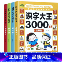 全4册识字大3000字 [正版]幼儿园识字大王3000字有声伴读识字书幼儿认字3-5-6岁宝宝看图认字儿启蒙早教绘本书籍