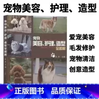 [正版]宠物美容护理造型全图解训练狗狗教程训狗书狗狗书籍大全养狗书籍训犬书狗书籍大全狗狗心事宠物书籍大全中国农业出版社