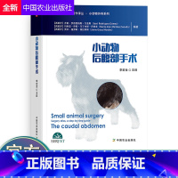 [正版]小动物后腹部手术李宏全主译小动物手术基础兽医手术学犬猫手术小动物外科技术小动物外科手术学兽医手术原则兽医图书书