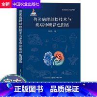 [正版]兽医病理剖检技术与疾病诊断彩色图谱陈怀涛动物剖检技术病理材料采取寄送病理切片制作技术动物疾病诊断兽医书籍兽医实