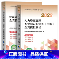 [人力+经济基础]全2本 [正版]备考2024年中级经济师全国经济专业资格考试全真模拟测试卷真题人力资源经济基础知识专业