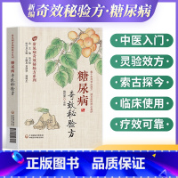 [正版]中医入门临床试用中国医药新编中医糖尿病名医常见病多发病疑难病奇效秘验方系列医药方剂学内服外用疗效可靠临床经验