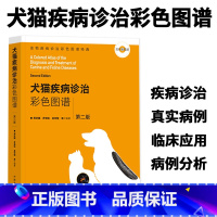 [正版]宠物医生手册(第2版)犬猫疾病诊治彩色图谱第二版临床手术用药小动物内科学职业兽医师用书小动物外科学兽医病理学中