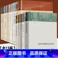 中国社会学经典文库13册 [正版]小镇喧嚣 中国社会学经典文库 13册 当代中国社会分层 毅著迎检开发收税征地维权故事等