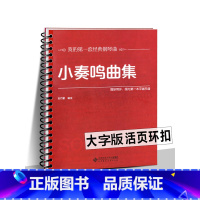 [正版]小奏鸣曲集 大字版 活页 平铺乐谱我的套经典钢琴曲 大开本 大音符弹奏用书入门全面训练学生手指技巧经典曲谱练习