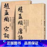 [正版]赵孟頫宋词+唐诗 全套2册 中国历代书法名家作品集字 江锦世繁简对照毛笔临帖集字古诗词行书楷书行草字帖临摹范本