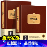 [正版]爱弥儿 卢梭 精装无删减版 上下全2册爱弥尔西方百年学术经典 卢梭论述资产教育著作世界文学名著儿童教育书籍 爱