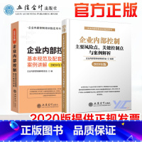 [正版]2020企业内部控制主要风险点、关键控制点与案例解析+2020年全新版企业内部控制基本规范及配套指引案例讲解2