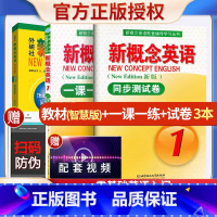 [正版]新概念英语1一课一练同步测试卷第一册 新版实践与进步 新概念英语配套辅导学习丛书 新概念英语第一册同步测试卷