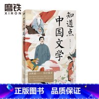 [正版]知道点中国文学 汪淼 著 余秋雨作序 知道点 中外文史哲 看这套 知道点 系列书就够了图书 书籍