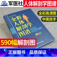 [正版]全新人体解剖学图谱全彩解剖速记医生用书人体结构彩色书军事医学科学出版社中英文双语对照标识人体解刨学图谱解剖速记