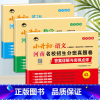 [河南专版]小升初-语文+数学+英语 3本 小学升初中 [正版]河南专版小升初真题卷2023年新版河南名校招生分班考试真