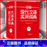 [正版]新编现代汉语实用词典人教版全国通用一二三四五六年级小学初中高中生现代汉语词典多功能字典新版字典学生实用工具书